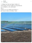 호주 딸기 농장 썰jpg