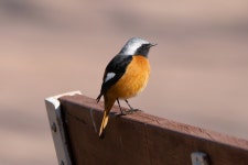 영종도 둘러봤음