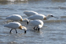 영종도 둘러봤음