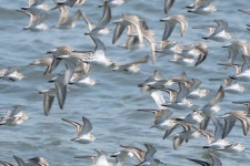 영종도 둘러봤음