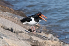 영종도 둘러봤음