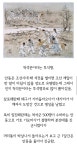 조선시대 석전의 성지였다는 안동jpg