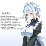 밤시중에 스탯을 몰빵한 메이드