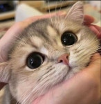 지금 가는애들 올사람은 다시 와줬으면 | 유머 게시판 지금 가는애들 올사람은 다시 와줬으면 | 유머 게시판 | 루리웹