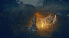 성전교회 옆 수집벌레 살릴수있군요