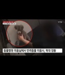 꼬리 흔드는 강아지 휙 던져 골절시킨 미용사 | 유머 게시판 꼬리 흔드는 강아지 휙 던져 골절시킨 미용사 | 유머 게시판 | 루리웹