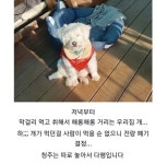 막걸리를 빚은 유게이 | 유머 게시판 막걸리를 빚은 유게이 | 유머 게시판 | 루리웹