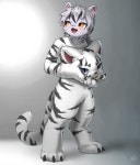 퍼슈트 in 퍼리