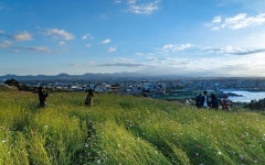 함덕 서우봉해변 | 유머 게시판 함덕 서우봉해변 | 유머 게시판 | 루리웹