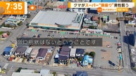 일본 시가지로 내려와 마트를 덮친 곰 사건.jpg | 유머 게시판 일본 시가지로 내려와 마트를 덮친 곰 사건.jpg | 유머 게시판 | 루리웹