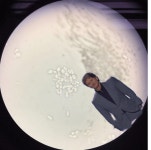 TGA 스카이림6로 사기친놈 근황reddit