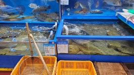 으른양연말요리 연말에는 해산물 코스요리를