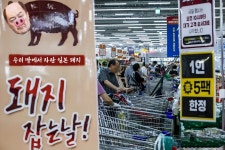 오늘은 돼지 잡는날