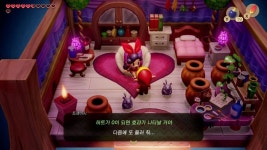 젤다의 전설 꿈꾸는 섬