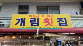 부산 모임에서 돌아다닌 곳들