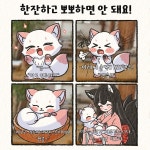 여우찻집예쁜여우 보구가용 여우찻집 416418편