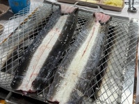 등촌샤브샤브수지 만수정 장어