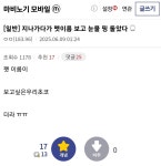 펫 이름 보고 눈물난 모비노기 유저