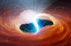 루리웹 본사 화장실 실물사진