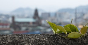 확실히 좋은 렌즈 쓰니까 다르구나
