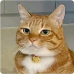 내가 경험한 최악의 신천 경험담