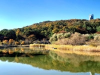 드림랜드를 아시나요