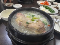 점심으로 먹은 삼계탕