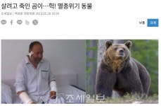 곰 상대하는 법을 실제로 실천한 사람JPG