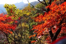 모악산 산행후 먹은 점심들