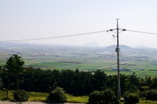 제주 3일차 5000 계란말이