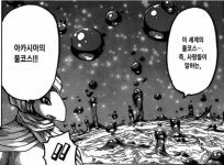 토리코아카시아의 풀코스 정리1