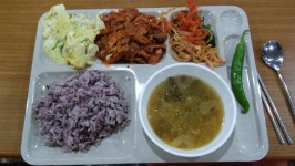 함바식당 18