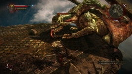 위쳐 드래곤 와이번 생김새 차이