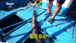 대왕 장어의 위엄 gif