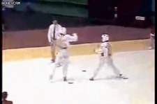 외국인도 쌌다던 88올림픽 시절 태권도 경기