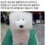 네모네모 멈뭄미의 모험 도트 갓겜 프리덤 플레닛 밀라 바셋 플레이