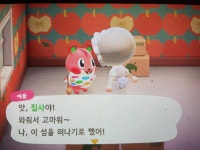 마감애플이 분양해봐요 10마일