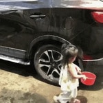 아빠 세차 도와주는 딸.gif | 유머 게시판 아빠 세차 도와주는 딸.gif | 유머 게시판 | 루리웹