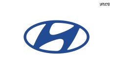 현대 자동차 치명적 단점