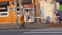소머리국밥전문 | 유머 게시판 | RULIWEB 소머리국밥전문 | 유머 게시판 | 루리웹