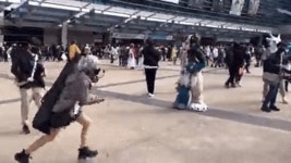 요즘 코스어들의 퍼리슈트 인식