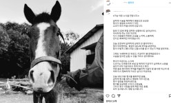 동물보호단체 분들 속으로 아주 쾌재를 내지를 분들 많겠습니다