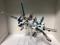 사실 상 디럭스판인 hg