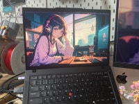 씽크패드야 아프지마