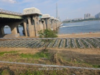 잠실 대교 밑이 따릉이 격납고가 되버렸네