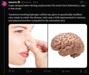 방구에 알츠하이머 예방물질