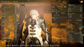 제가 사용중인 대검 세팅들