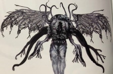 질문크래프트맨집 옆 국도 까는 중인데