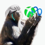 스타필드 솔라리스 | PC패키지 스샷 스타필드 솔라리스 | PC패키지 스샷 | 루리웹