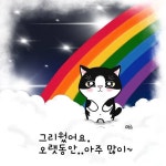 미국은 진보적인 주와 보수적인 주가 크게 갈리는듯